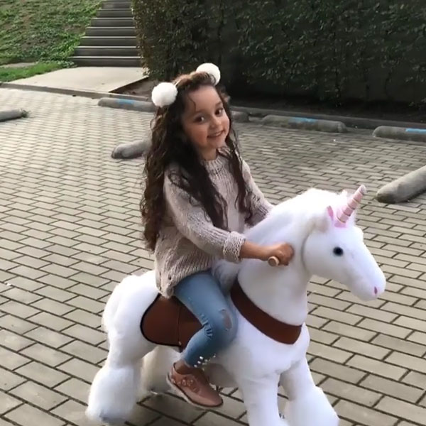 PonyCycle ride on horse toy: Rides like a REAL pony! – PonyCycle EU  Official Store