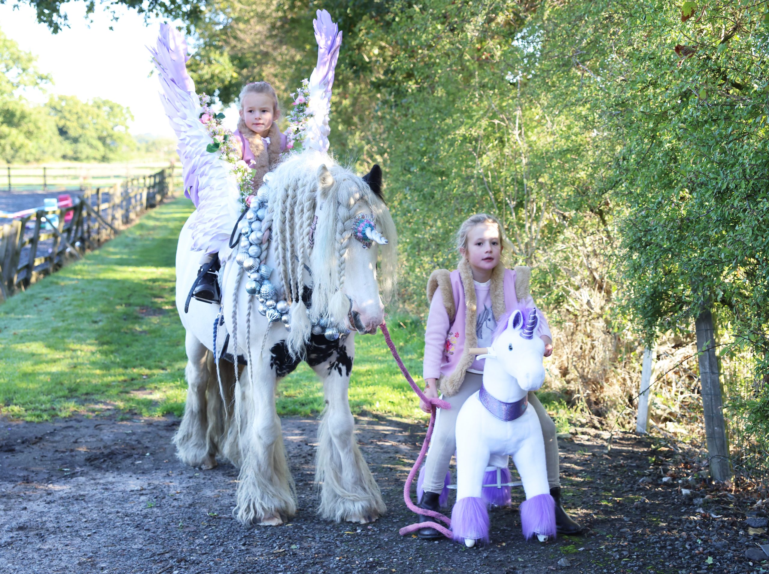 unicorn ride on toy