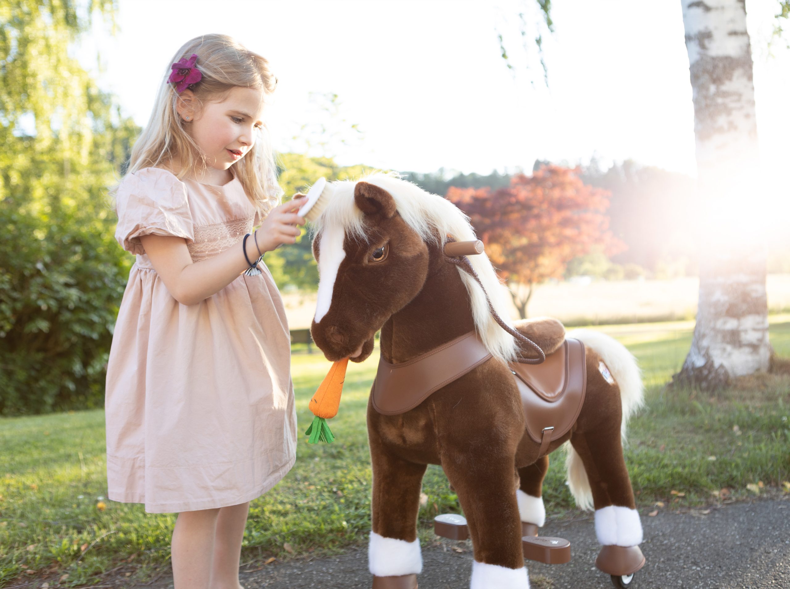 ride on horse toy and accessories